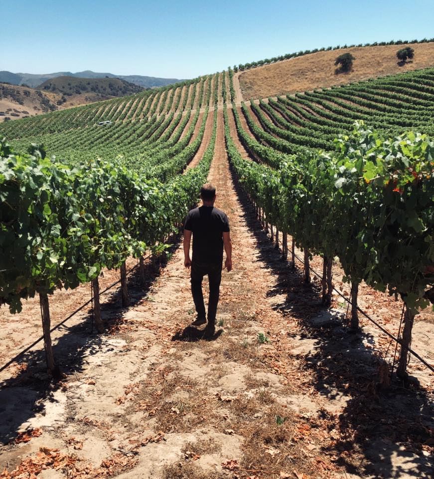 サン・リージュ グラウンドワーク グラシアーノ 2021 : アイコニック